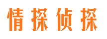 民丰出轨调查